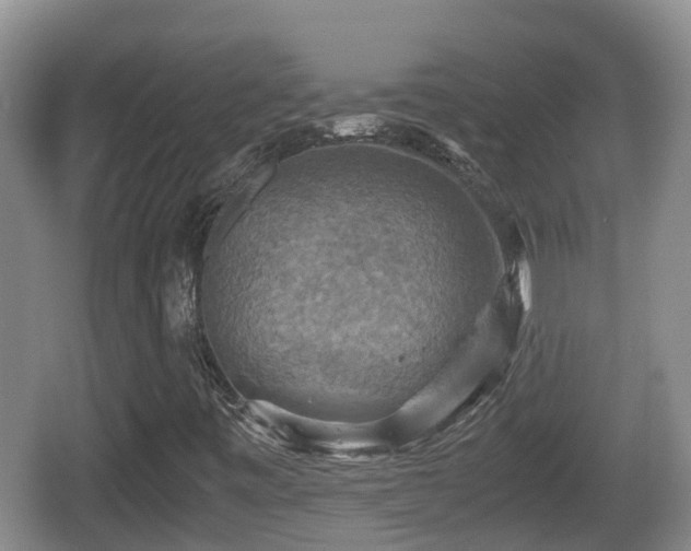 X0000067891443200604171325