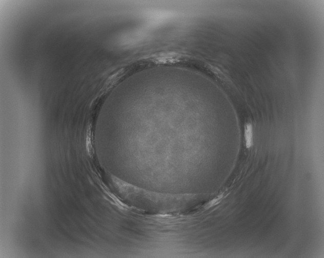 X0000067891444200604171325