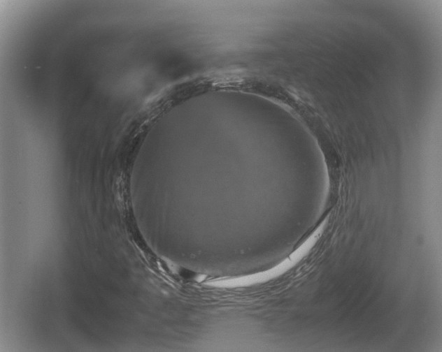 X0000067891445200604171325