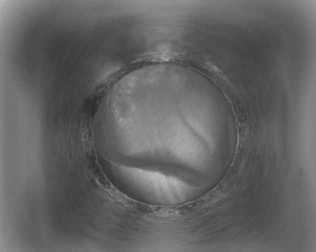 X0000067891446200604171325