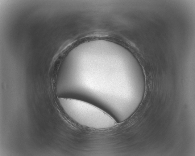 X0000067891448200604171325