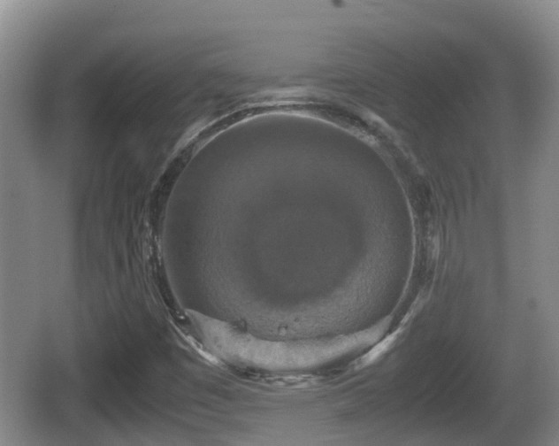 X0000067891449200604171325