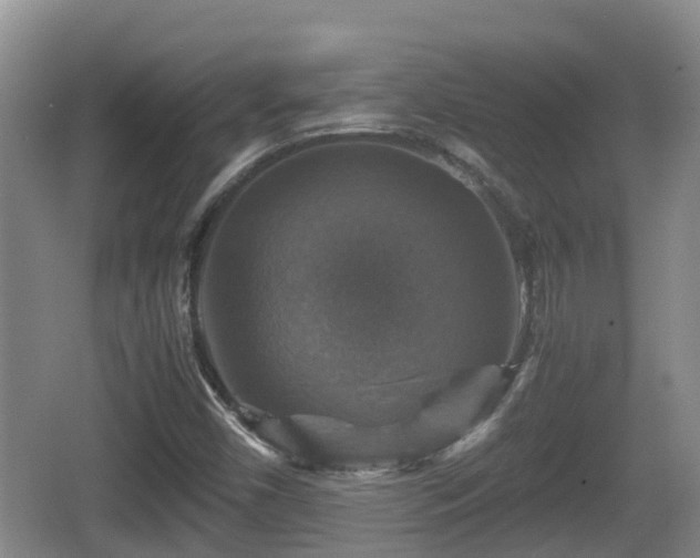 X0000067891450200604171325