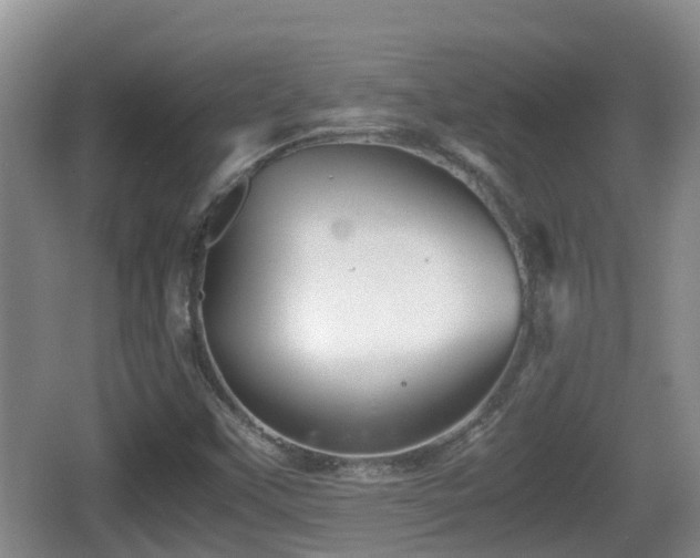 X0000067891451200604171325