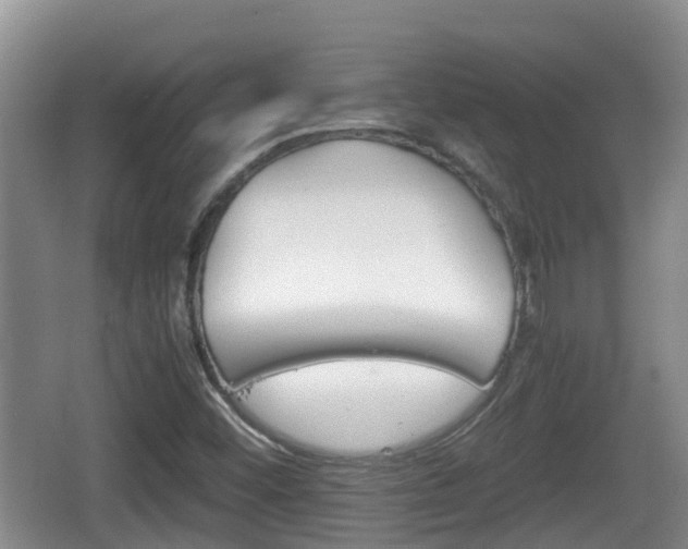 X0000067891452200604171325