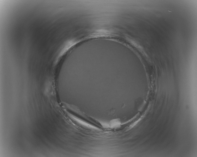 X0000067891453200604171325