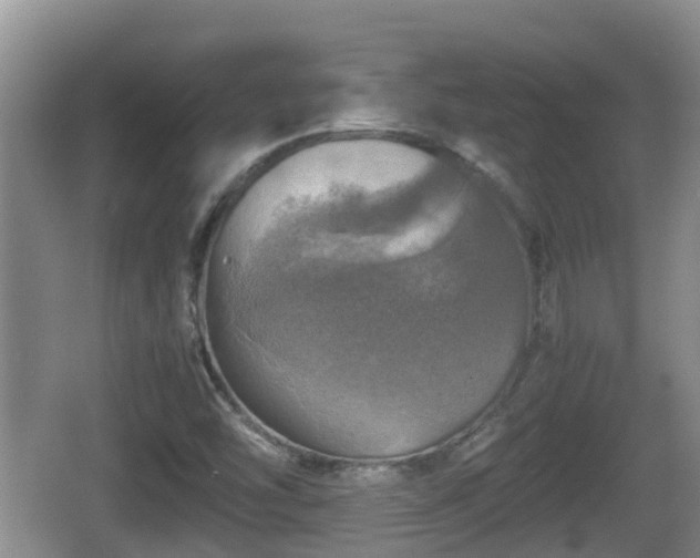 X0000067891454200604171325