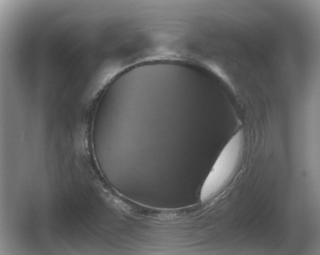 X0000067891455200604171325