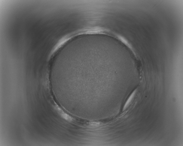 X0000067891456200604171325