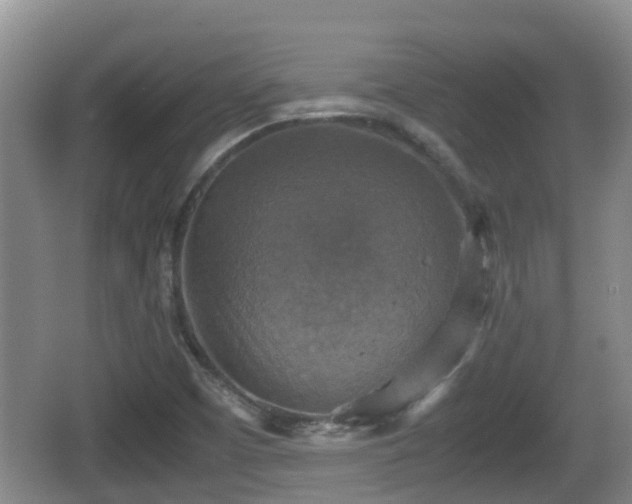 X0000067891457200604171325