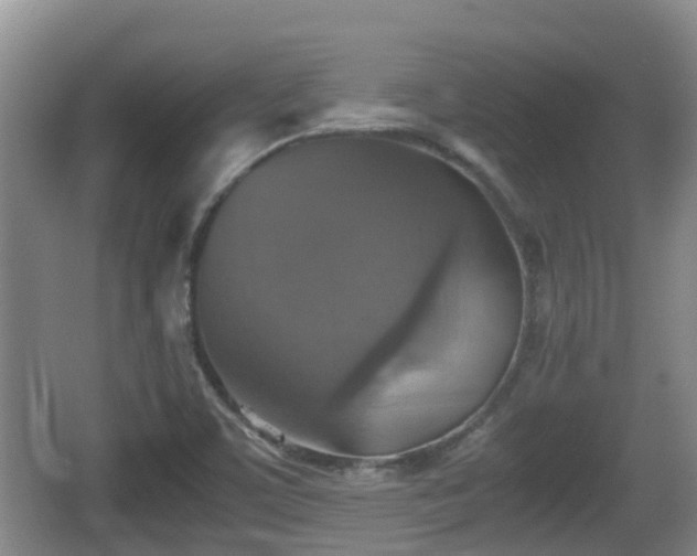 X0000067891459200604171325