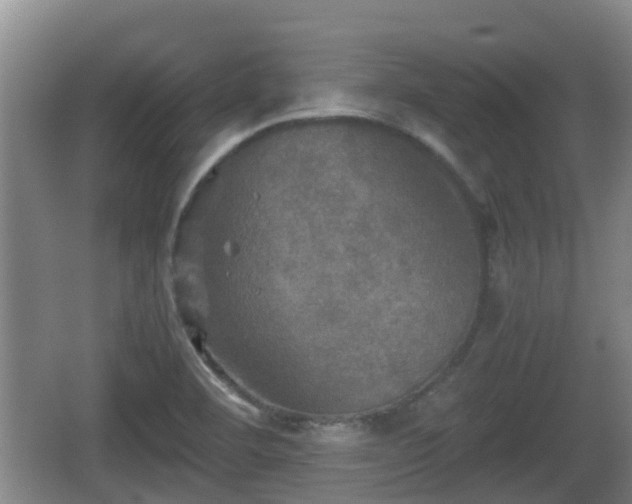 X0000067891460200604171325