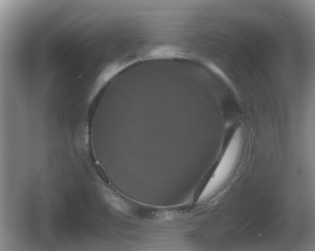 X0000067891461200604171324