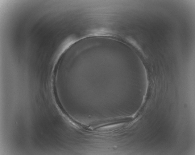 X0000067891463200604171324