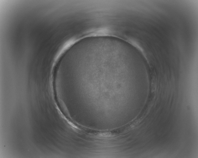 X0000067891464200604171324