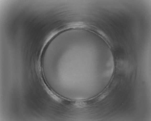 X0000067891466200604171324