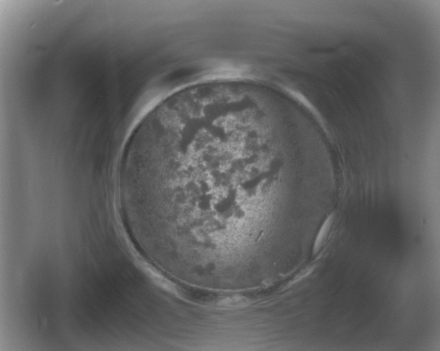 X0000067891467200604171324