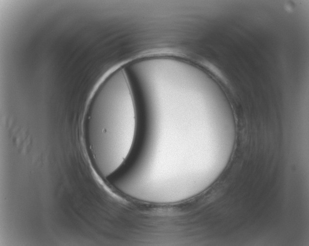 X0000067891468200604171324