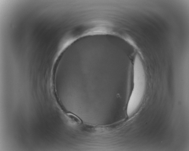 X0000067891469200604171324