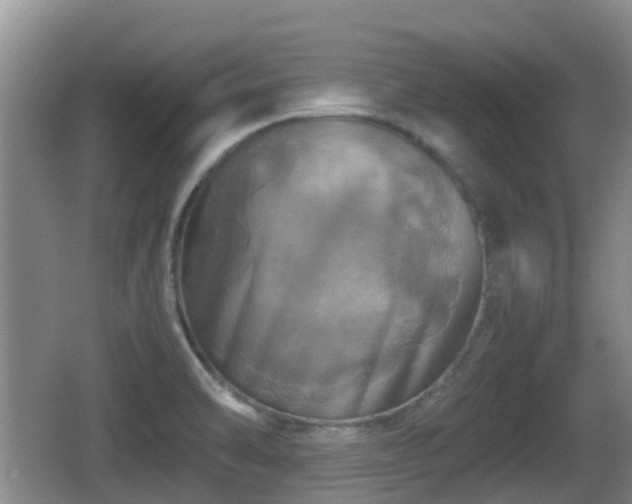 X0000067891470200604171324