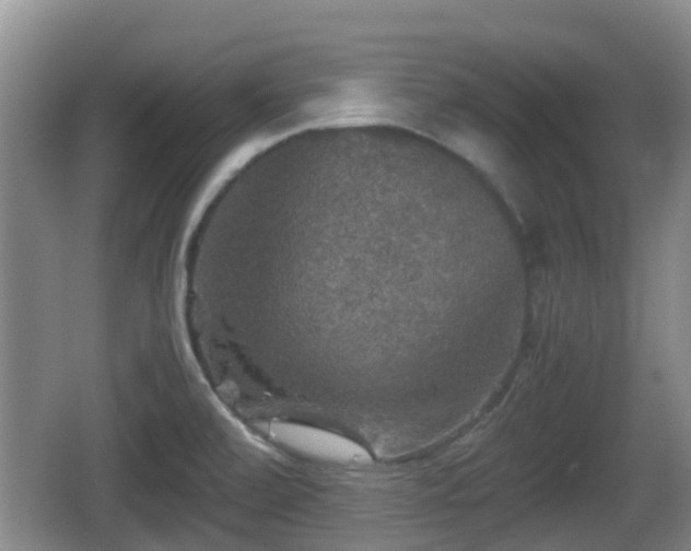 X0000067891472200604171324