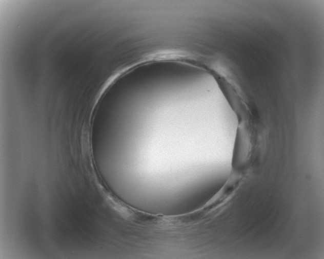 X0000067891473200604171324