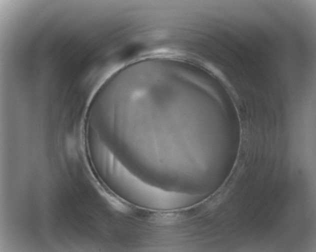 X0000067891474200604171324