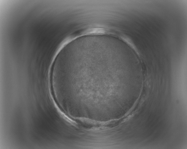 X0000067891475200604171324