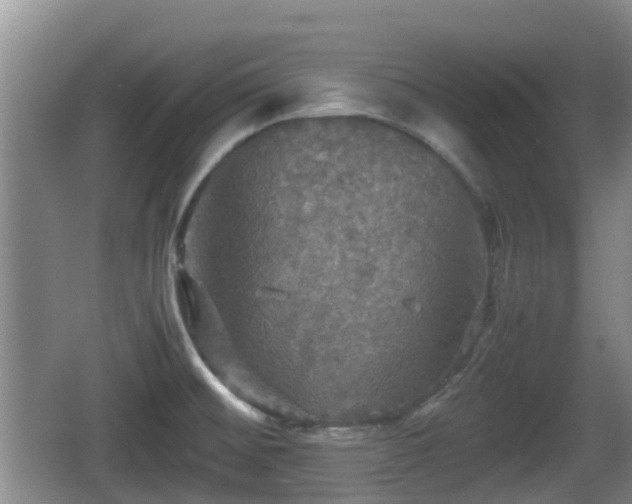 X0000067891476200604171324