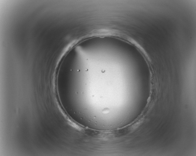 X0000067891477200604171324