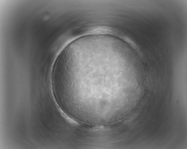 X0000067891478200604171324