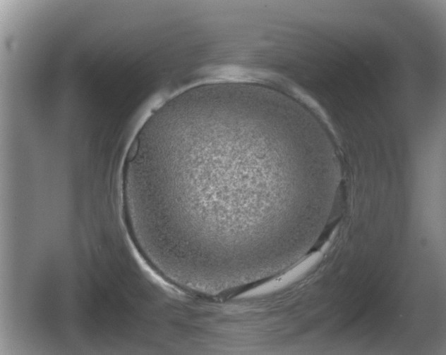 X0000067891479200604171324