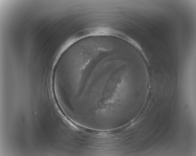 X0000067891480200604171324