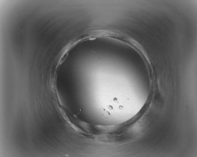 X0000067891481200604171324