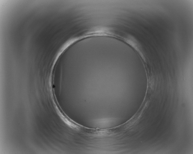 X0000067891482200604171324