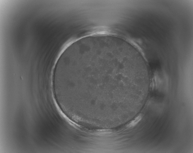 X0000067891483200604171324