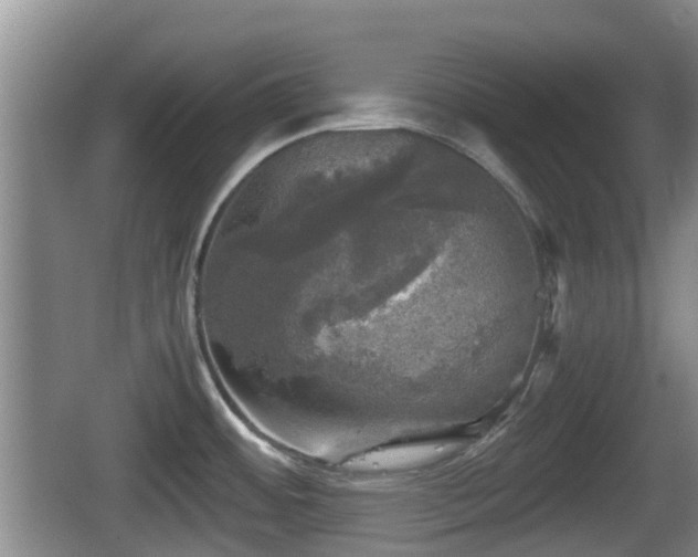 X0000067891484200604171324