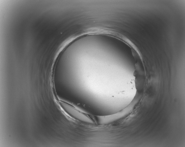 X0000067891485200604171324