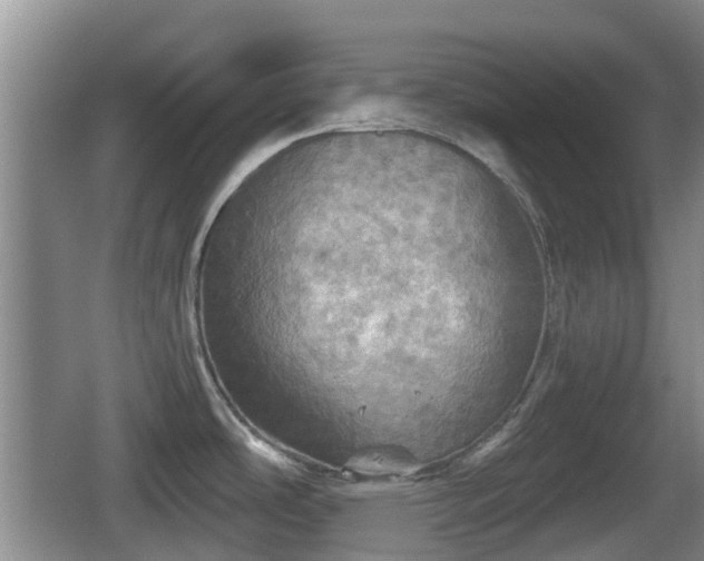 X0000067891486200604171324