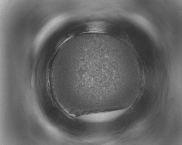 X0000067891487200604171324