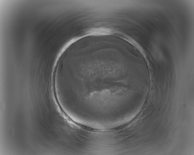 X0000067891488200604171324