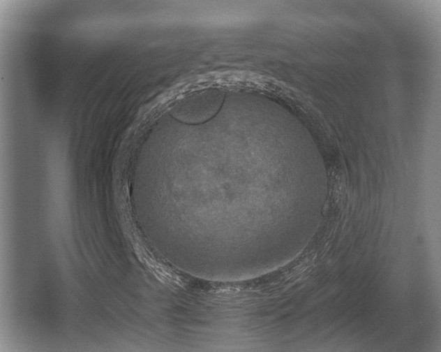 X0000067891489200604171323