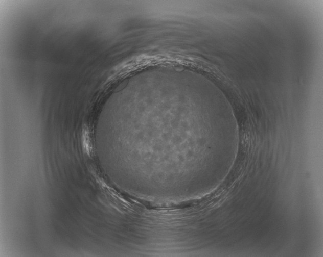 X0000067891490200604171323