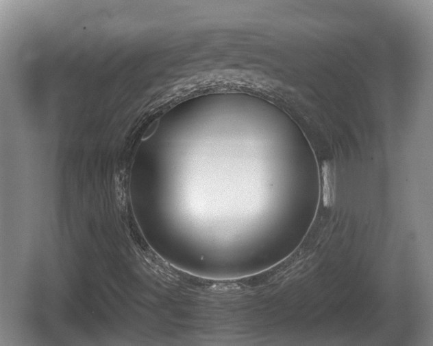 X0000067891491200604171323