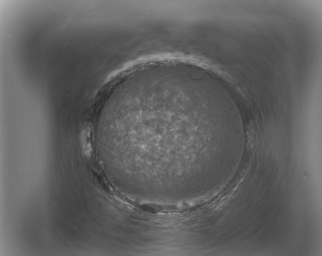 X0000067891494200604171323