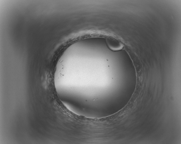 X0000067891495200604171323