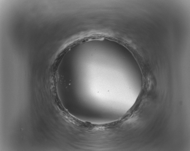 X0000067891496200604171323