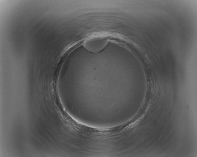 X0000067891497200604171323