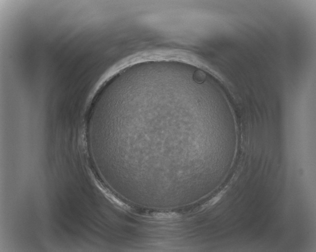 X0000067891498200604171323