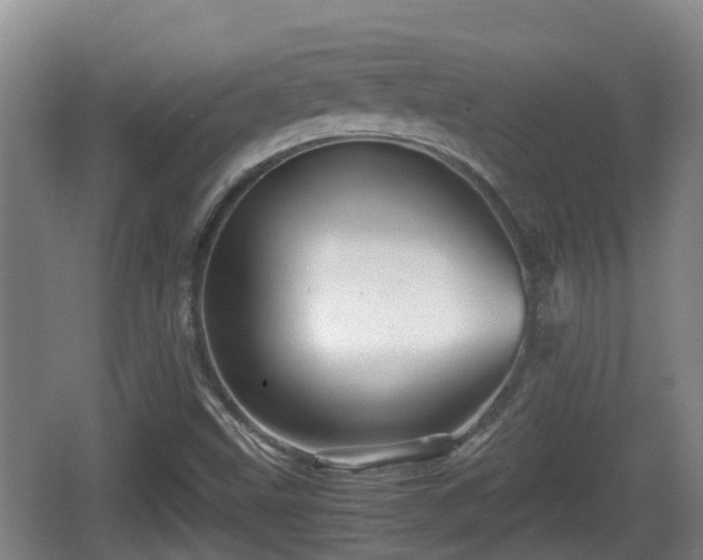 X0000067891499200604171323